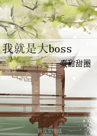 我就是大boss